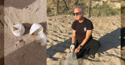 Sciacca, uova di Caretta caretta disperse sulla spiaggia di San Marco: l'intervento tempestivo di Guardia Costiera e Wwf