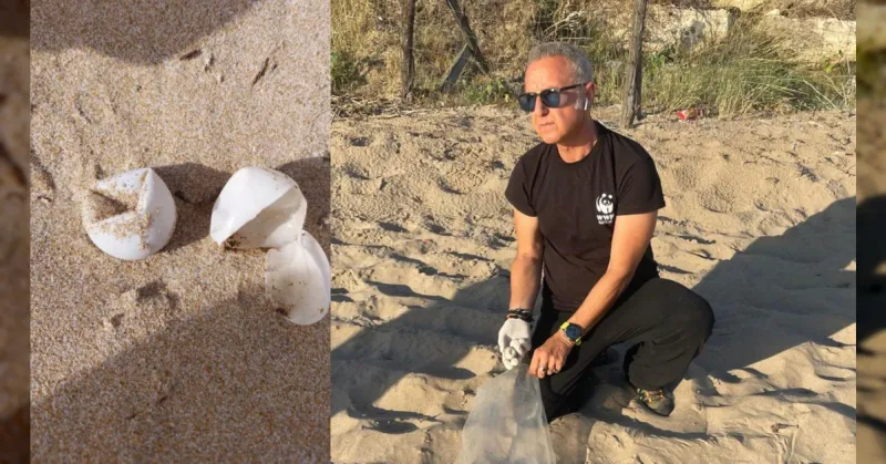 Sciacca, uova di Caretta caretta disperse sulla spiaggia di San Marco: l'intervento tempestivo di Guardia Costiera e Wwf