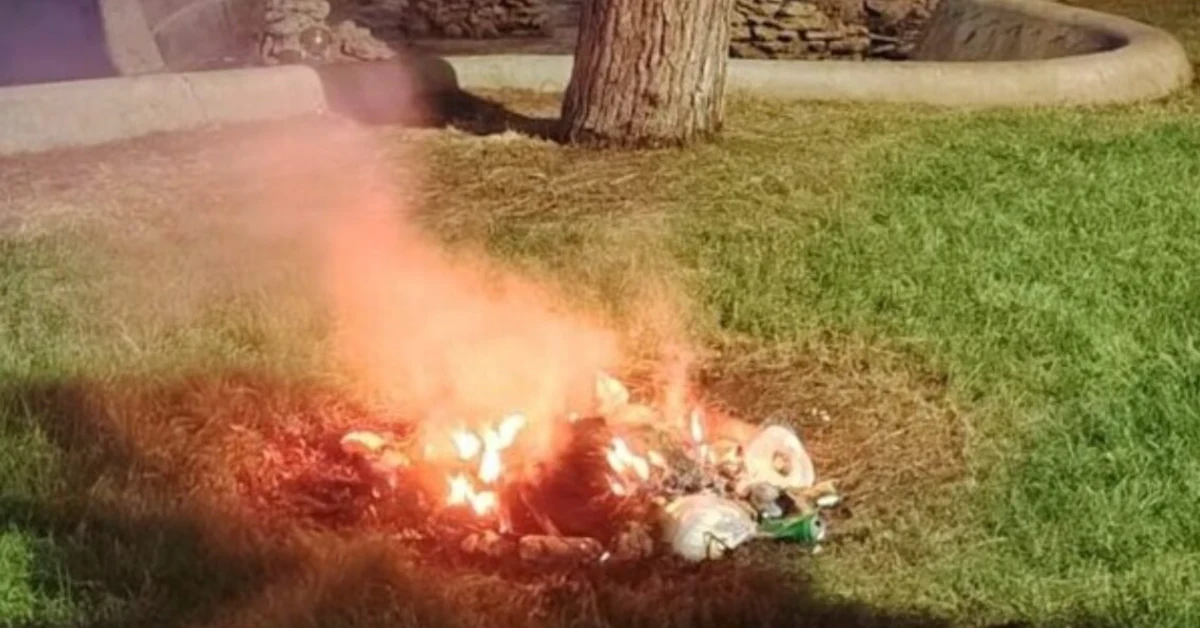 Arrestato uomo per incendio nel giardino della Fontana di Proserpina a Catania