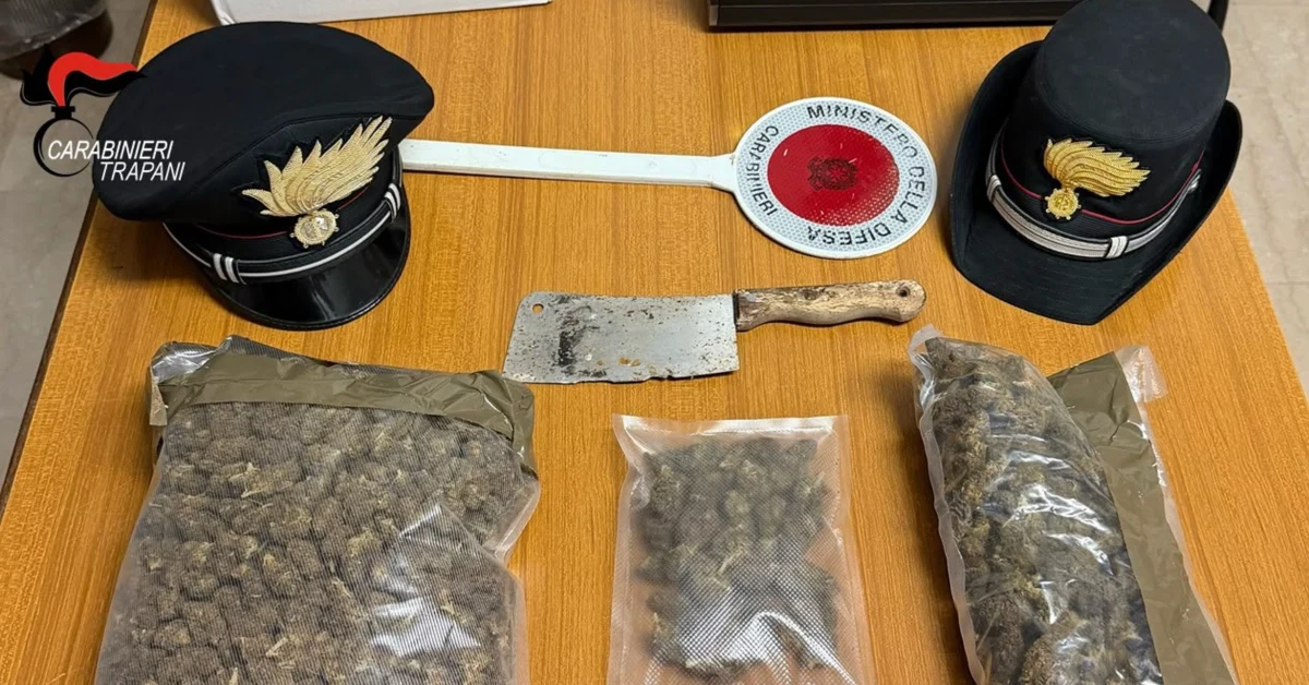 foto della droga sequestrata ai domiciliari dai carabinieri di Trapani