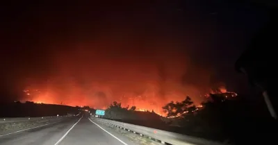 Incendi nei Sicani e nel Belice, la Flai Cgil: “Riformare subito il sistema forestale”