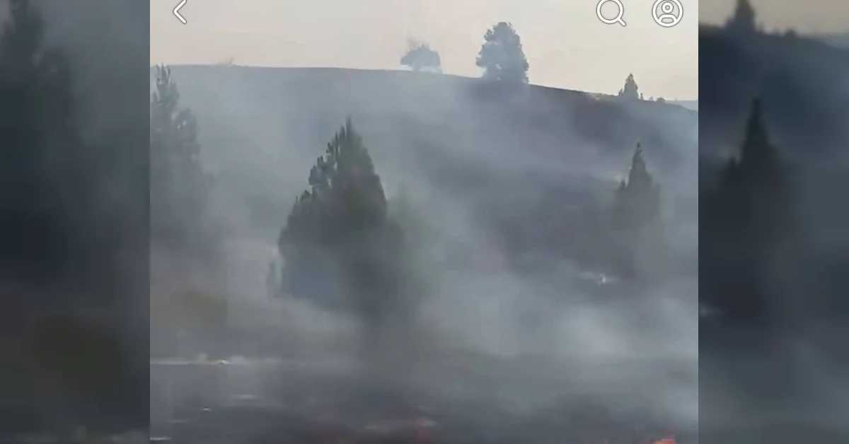 Incendio a Santo Stefano Quisquina con fiamme alimentate dallo scirocco e oltre cento evacuati
