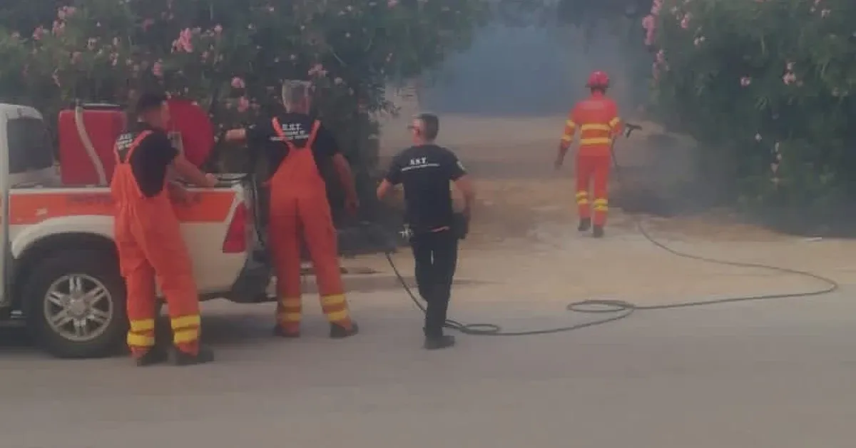 Cronaca / Attualità