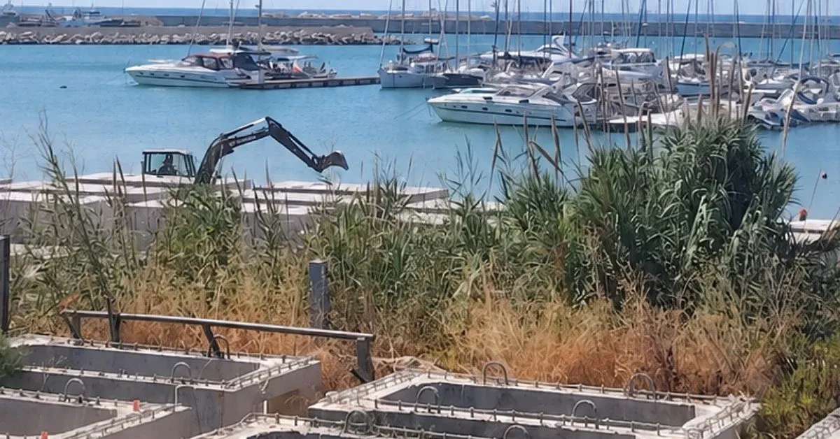 Cronaca / Attualità