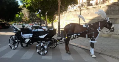 Palermo dice addio alle carrozze con i cavalli,  approvato il provvedimento