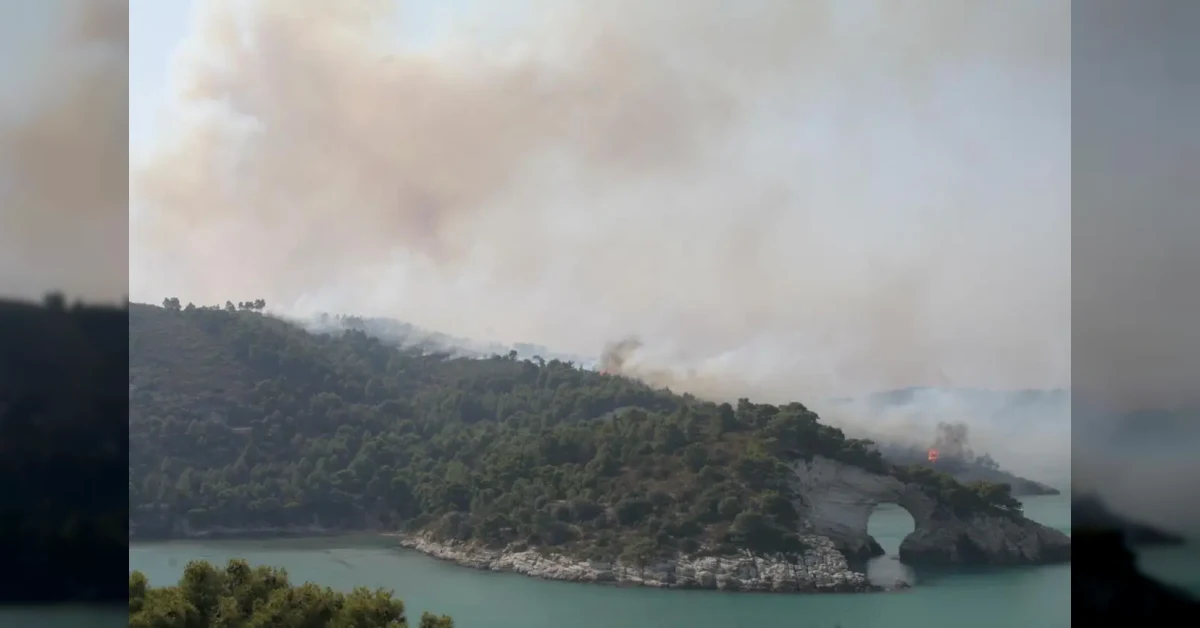 Incendio sul Gargano tra Peschici e Vieste: turisti evacuati via mare dalla guardia costiera