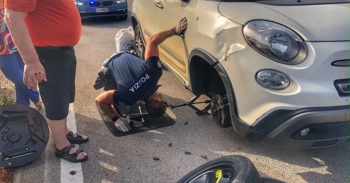 Cronaca / Attualità