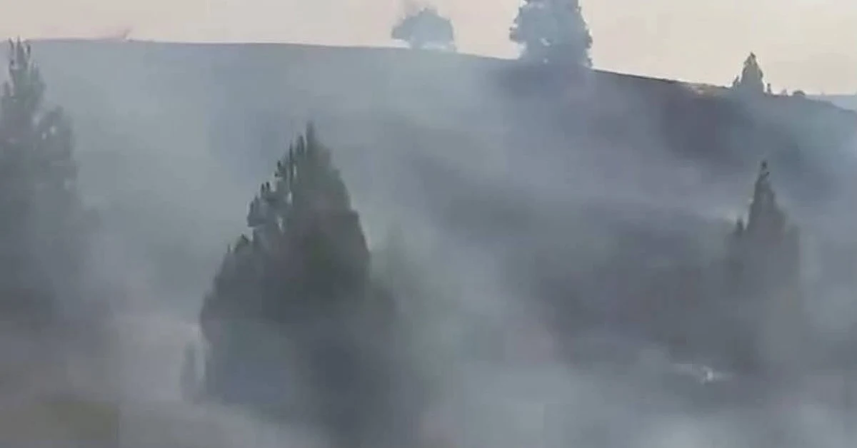 Incendio boschivo a Santo Stefano Quisquina con danni a campagne e allevamenti