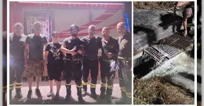 Cucciolo salvato dai Vigili del Fuoco a Sambuca di Sicilia