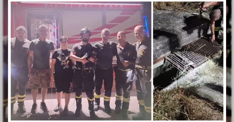 Cucciolo salvato dai Vigili del Fuoco a Sambuca di Sicilia