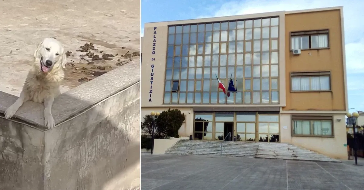 Cronaca / Attualità