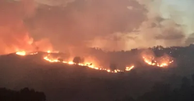 Aree incendiate e impianti da fonti rinnovabili, la Regione stringe i controlli per prevenire speculazioni