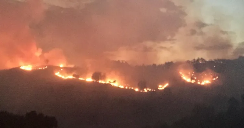 Aree incendiate e impianti da fonti rinnovabili, la Regione stringe i controlli per prevenire speculazioni