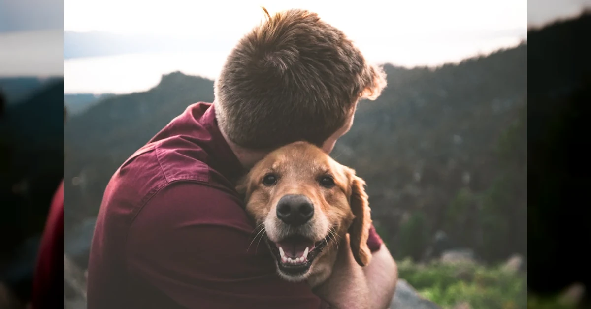 Cane in primo piano tra due persone che si separano, con un microchip sullo sfondo