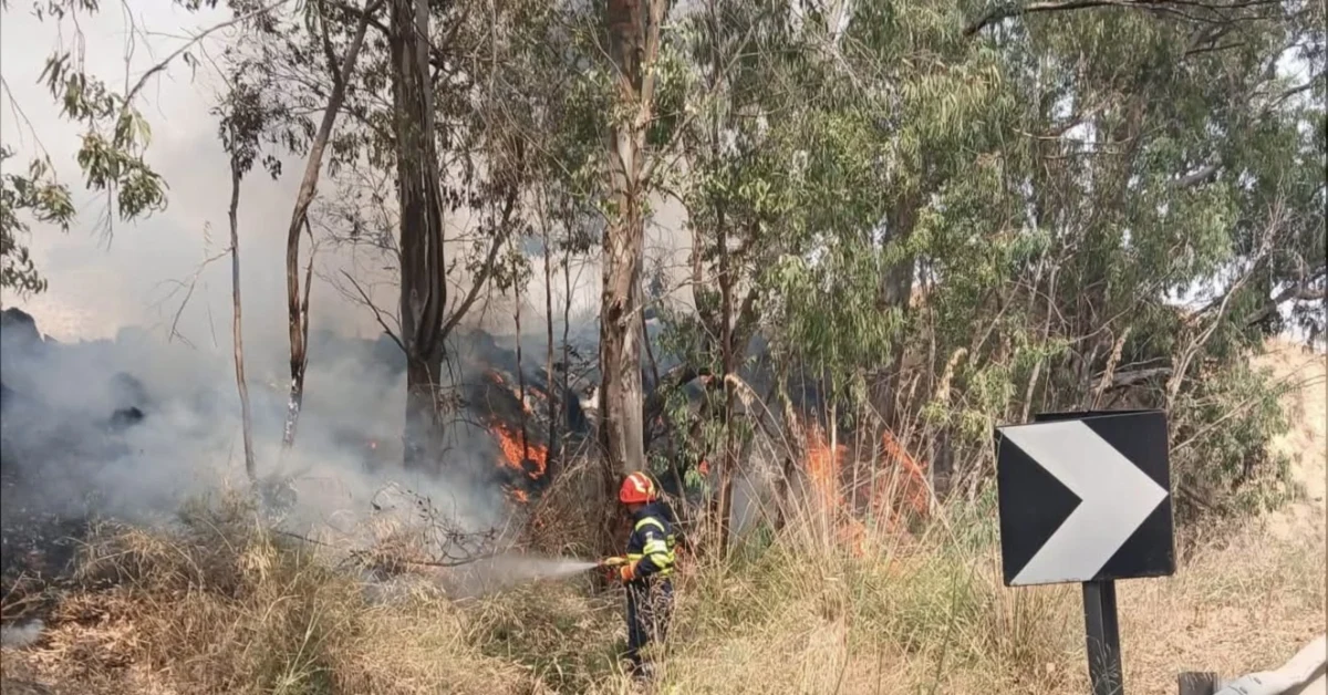 Menfi, unica località dell'Agrigentino, progetto finanziato per recupero aree incendiate