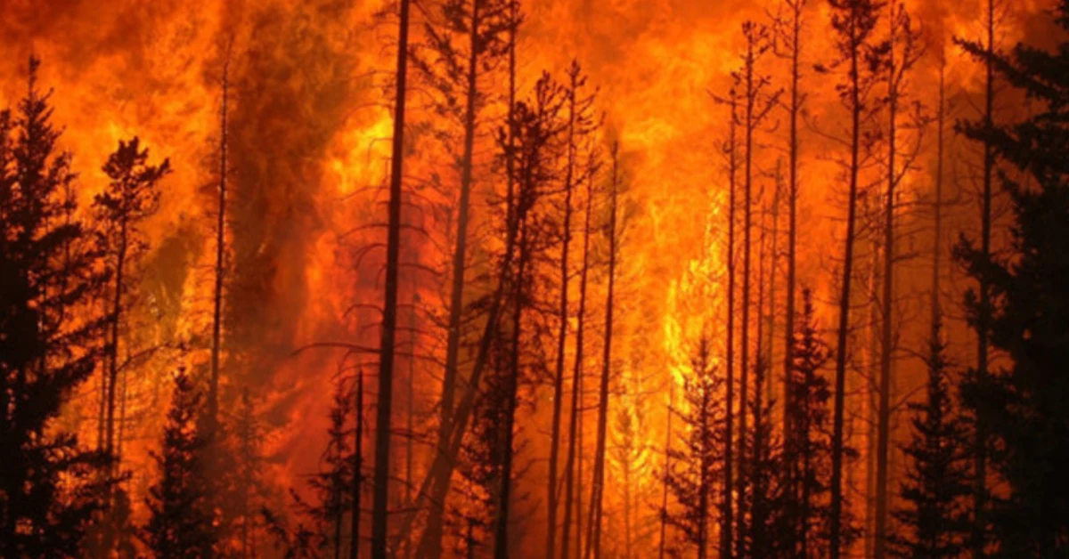Incendio boschivo, arrestato un anziano Agrigentino