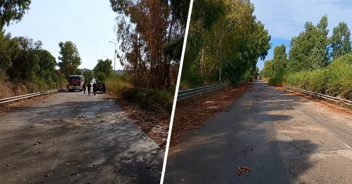 Cronaca / Attualità