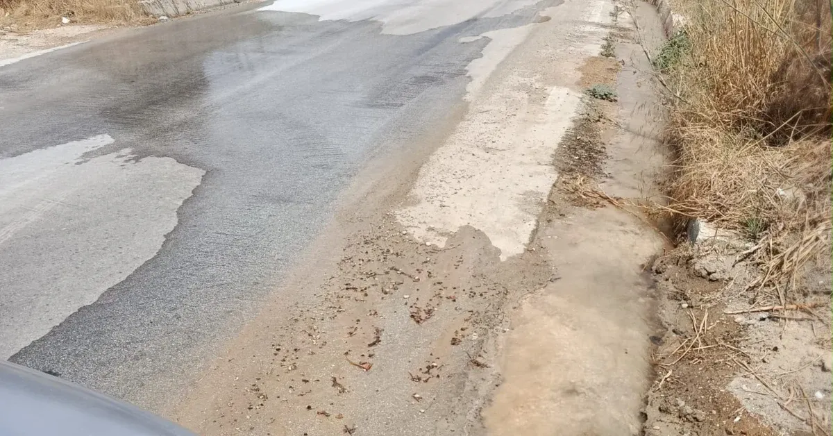 Cronaca / Attualità