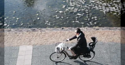 Bici, bambino sulla canna del telaio: multa fino a 102 euro senza seggiolino omologato