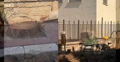 In via Catusi sempre allagata da una perdita idrica si tagliano 4 pini