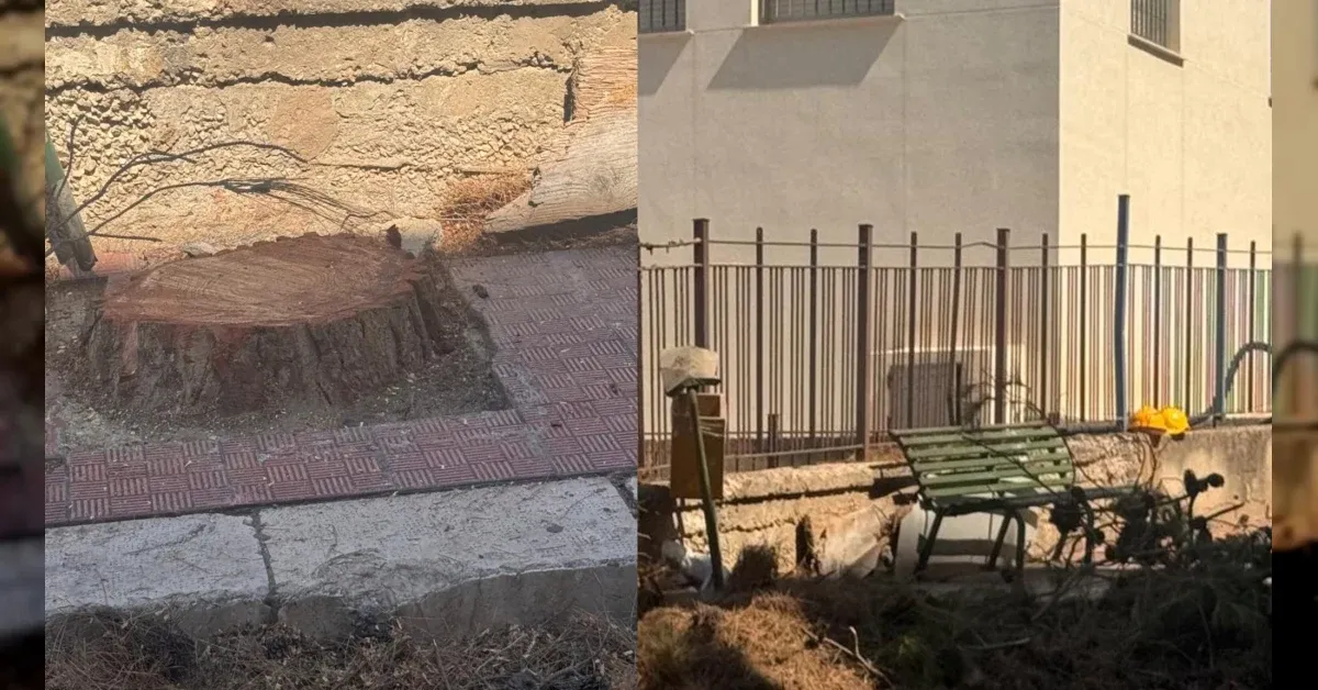 Cronaca / Attualità