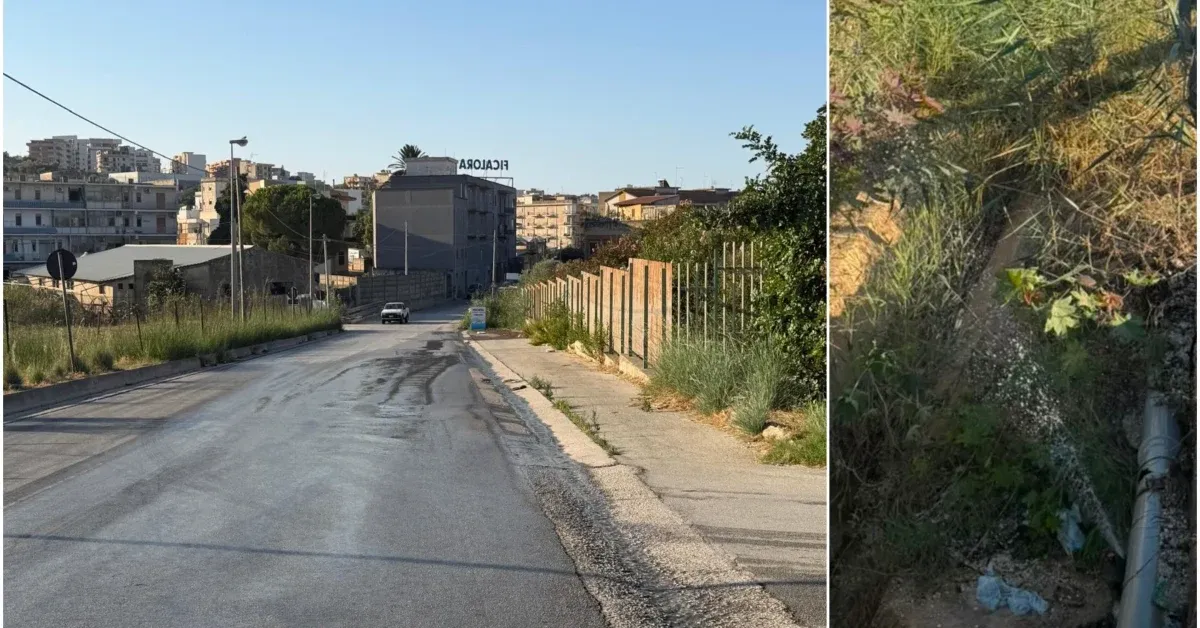 Cronaca / Attualità