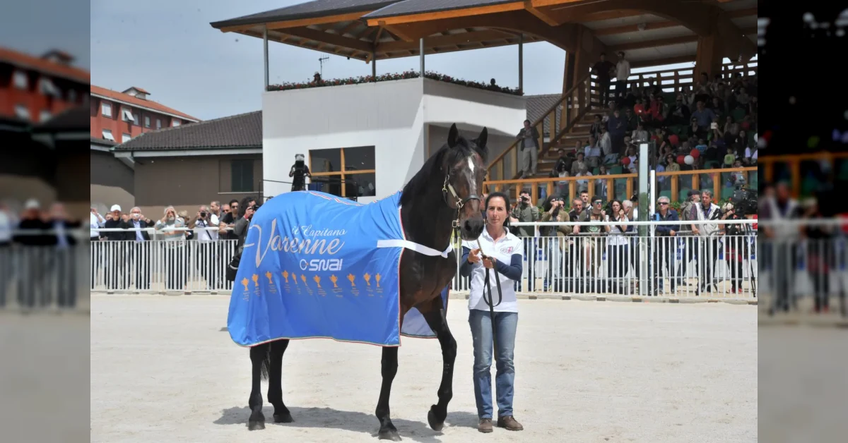 Varenne, il trottatore italiano campione del mondo, negli anni Duemila