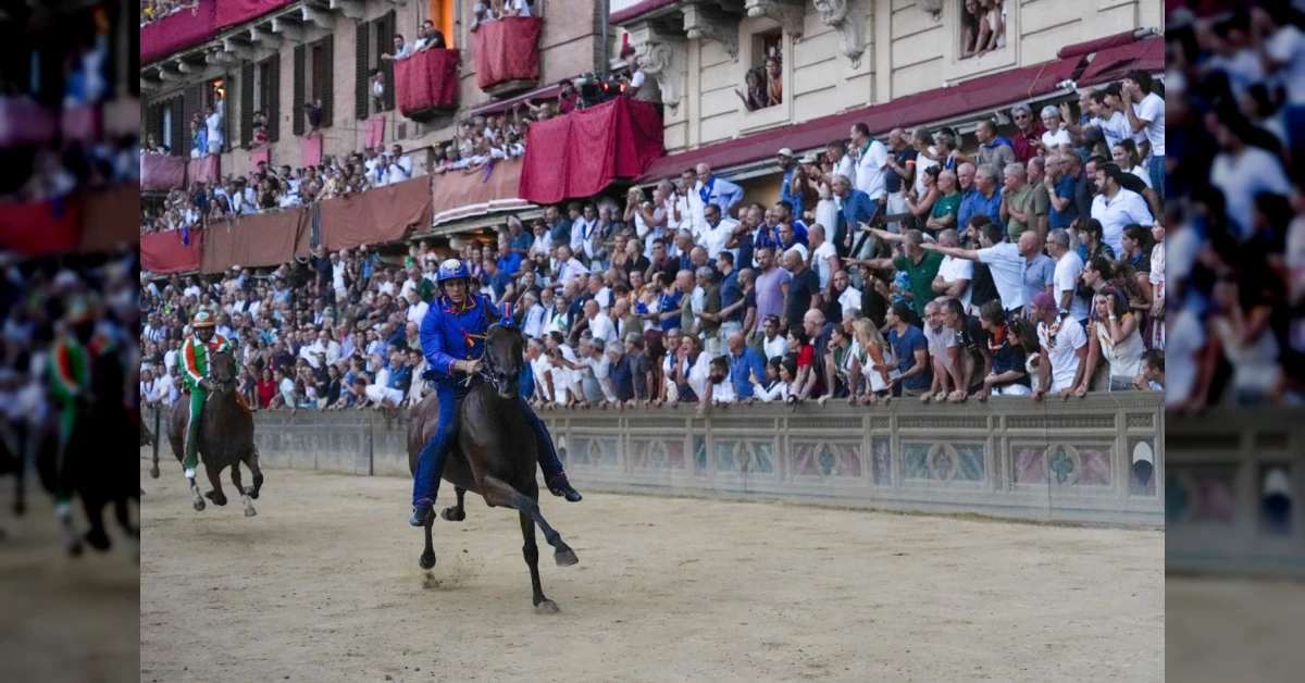 Tittia sul cavallo vince il Palio dell'Assunta 2026 per la contrada del Nicchio a Siena