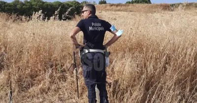 Terreni a rischio incendio a Sciacca, sanzioni della Polizia municipale per 30 proprietari