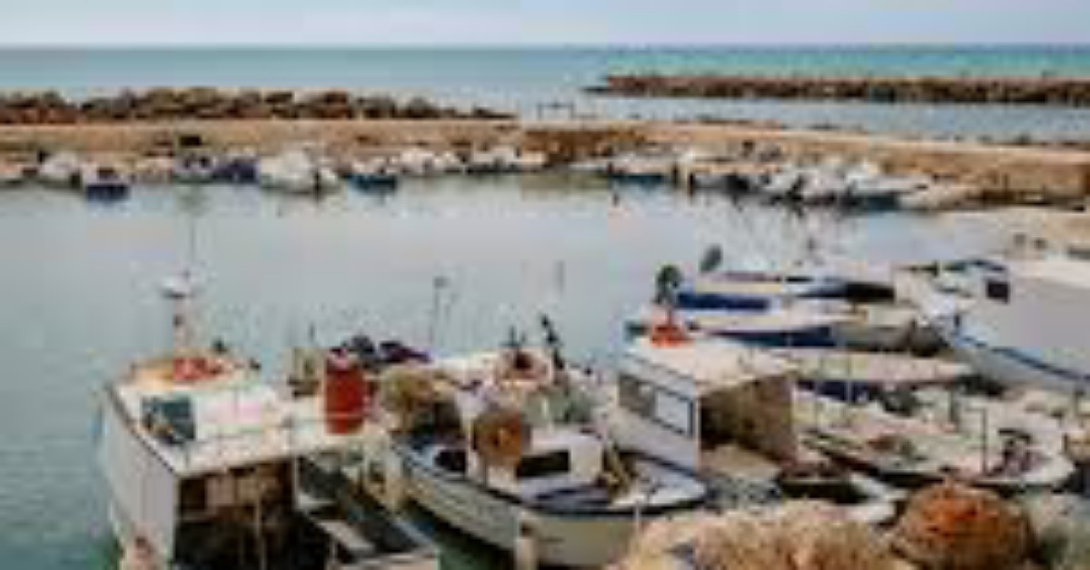 Processione a mare di Marinella di Selinunte annullata per la protesta dei pescatori contro il porto insabbiato dalla posidonia