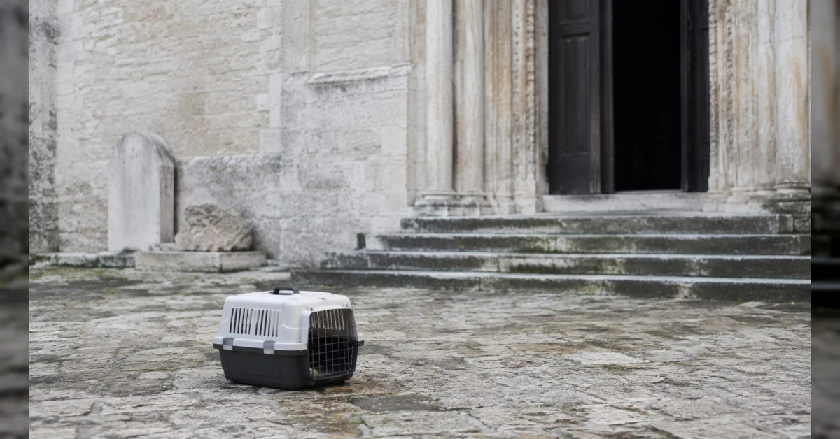 Cane morto in un trasportino abbandonato davanti alla chiesa di San Michele a Erice