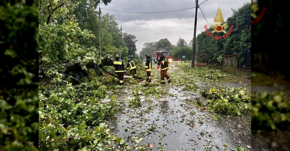 Tromba d'aria a Cremona: danni a tetti e alberi caduti dopo il maltempo in Lombardia