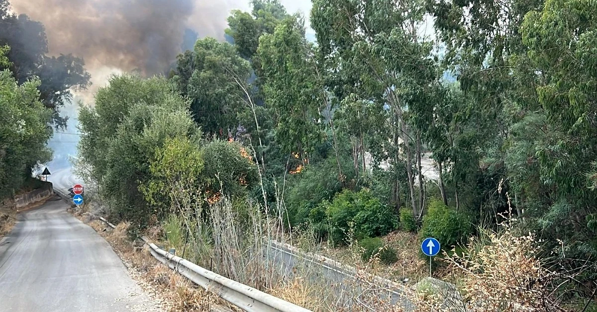 Incendio a Macauda blocca la Statale 115, vigili del fuoco e Protezione civile in azione