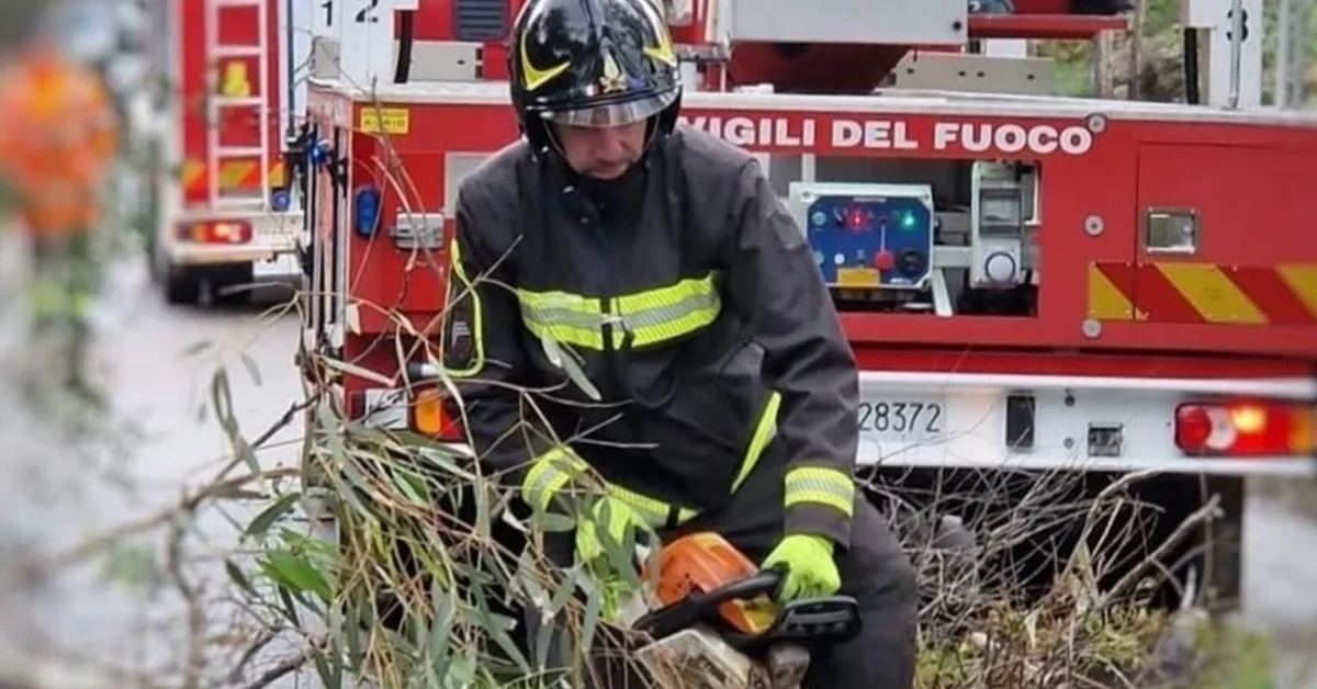Incendio boschivo in Sicilia con fiamme e fumo in collina