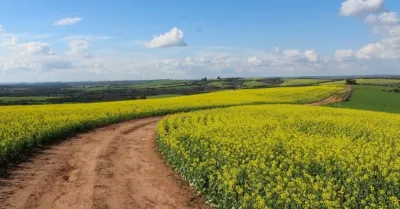 Lavoro nero nelle campagne, 18 irregolari scoperti tra cui cinque minori di 16 anni