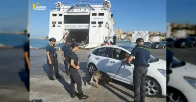 Nell’Agrigentino arriva Nolly, cane della Guardia di Finanza specializzato nella ricerca di droga