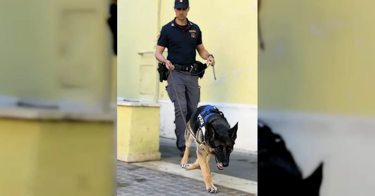 Blitz antidroga della polizia nella periferia est di Roma, sequestrati 2 kg di droga e una pistola
