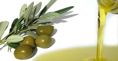 Olio, in Sicilia 16 mila tonnellate ancora da vendere: l’allarme di Barbera