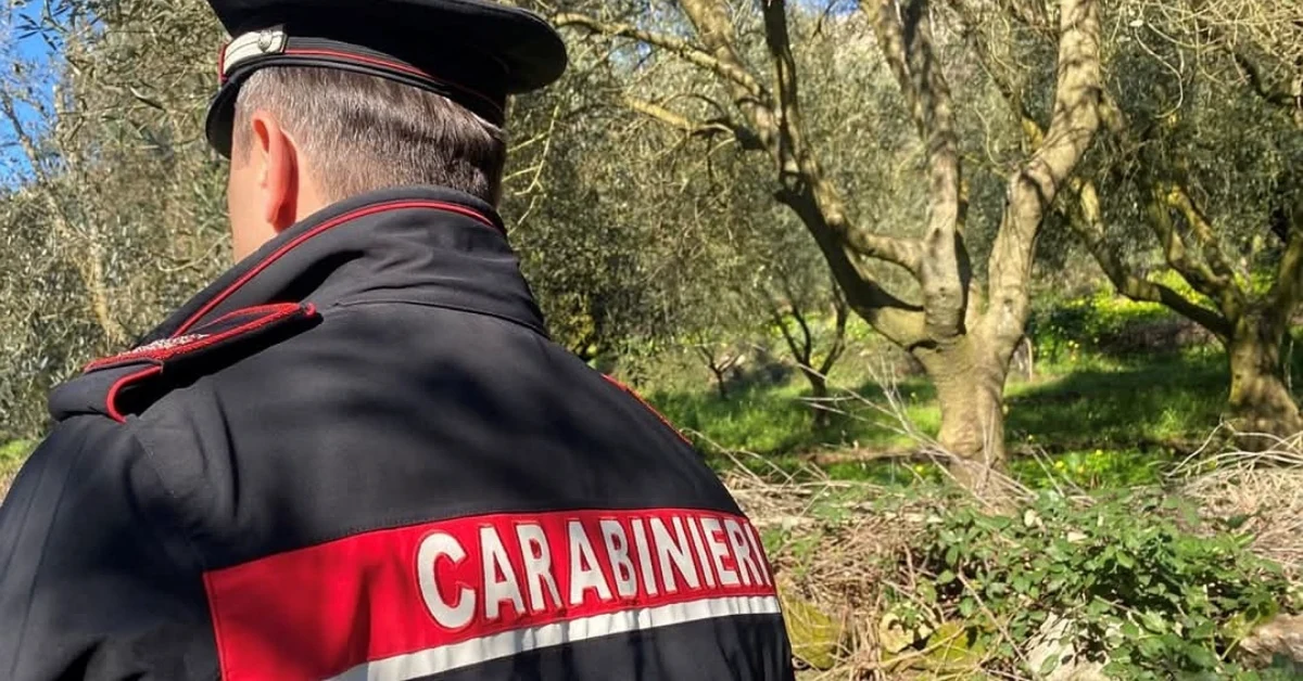Carabinieri