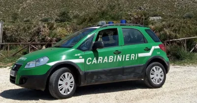 Due cavalli in un terreno agricolo assolato a San Vito Lo Capo senza riparo né acqua adeguata
