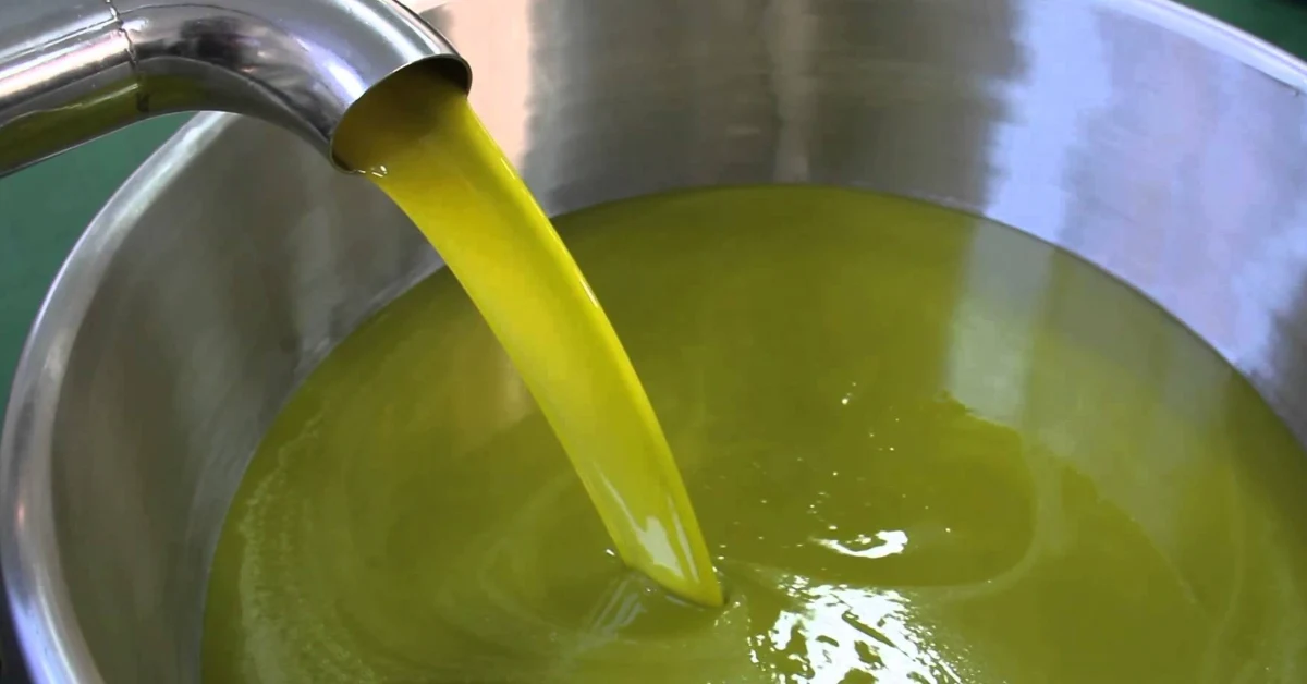 Ulivi in un paesaggio agricolo siciliano con frantoio sullo sfondo, simbolo della crisi del prezzo dell'olio