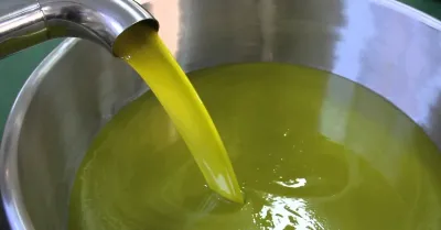 Crolla a 5 euro il prezzo dell’olio, allarme tra agricoltori e frantoiani