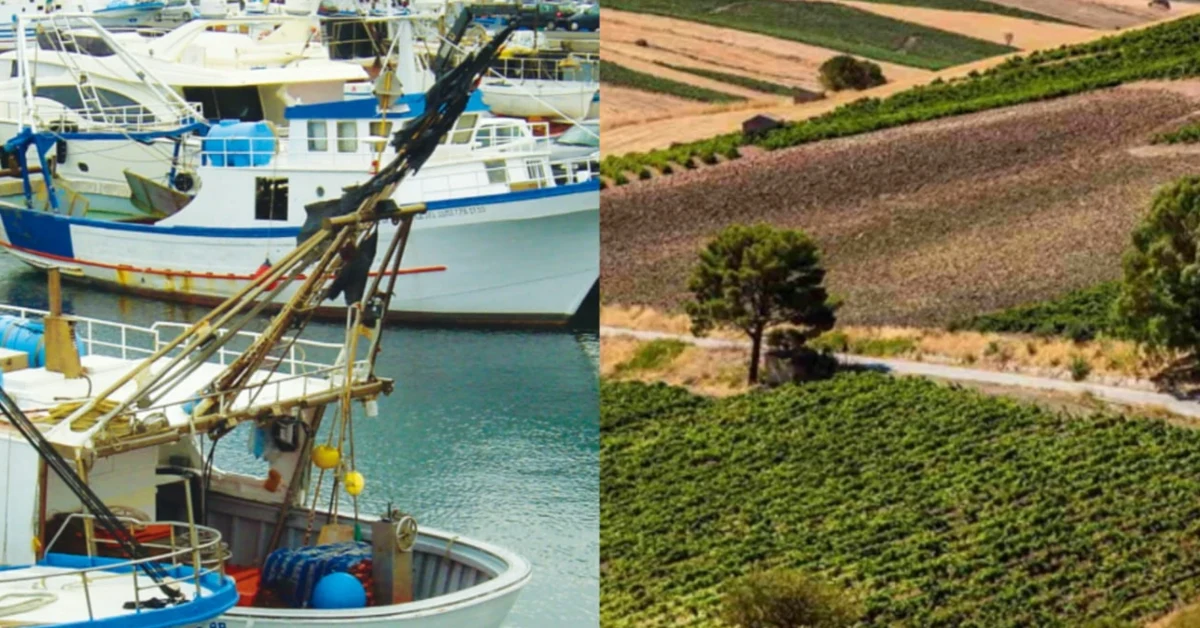 Contributi caro-carburanti per agricoltori e pescatori siciliani approvati dall'Ars