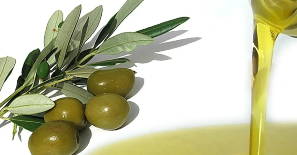 Olivicoltori siciliani in crisi per l'olio invenduto nei silos, richiesta di interventi urgenti all'Ars
