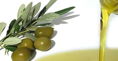 Crisi dell’olio, la Dc all’Ars chiede interventi urgenti per sostenere gli olivicoltori