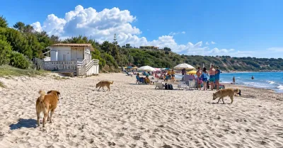 Spiagge ancora affollate a Sciacca, cani randagi con i bagnanti a Sovareto (Video)