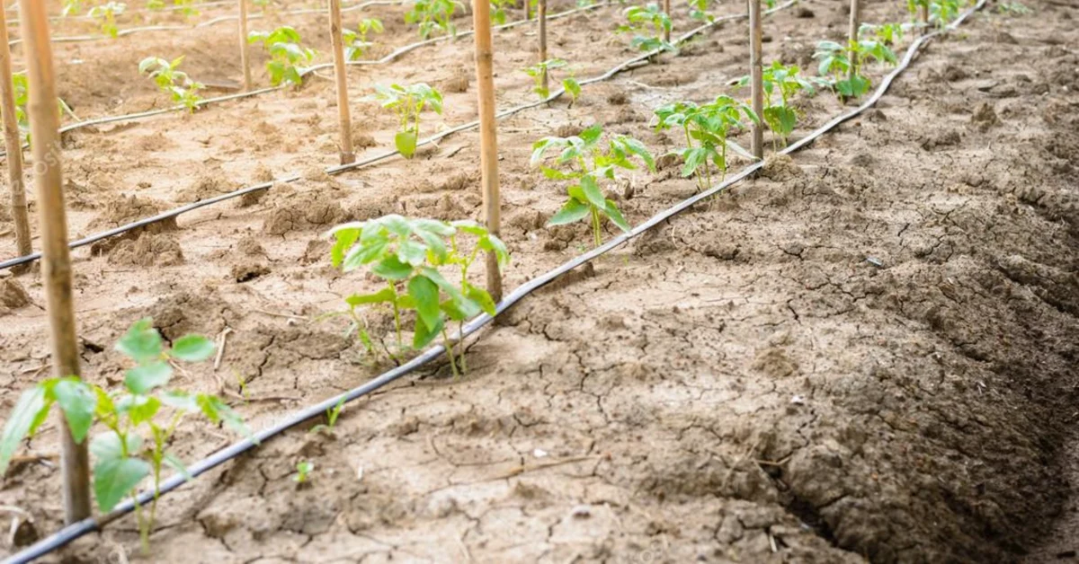 Vertice in Prefettura ad Agrigento sulla crisi agricola di olio e cereali