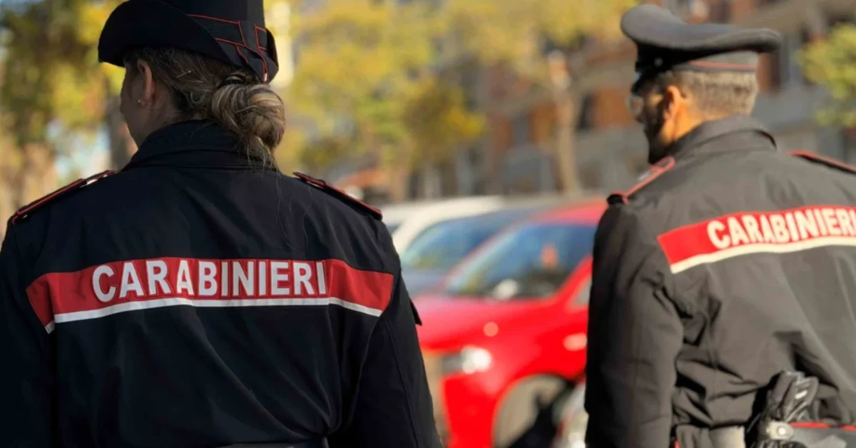 Quattro gattini abbandonati gettati nella recinzione di una colonia felina a Riposto