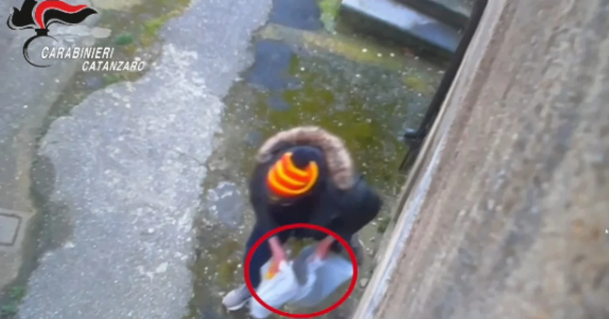 Illustrazione di un telefono con reddito di cittadinanza e cocaina, simbolo dell'inchiesta Social Card tra Catanzaro e Vicenza