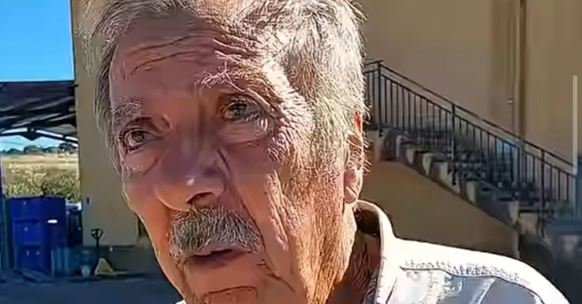 Protesta degli agricoltori per il prezzo dell'olio, con cartelli e uliveti sullo sfondo